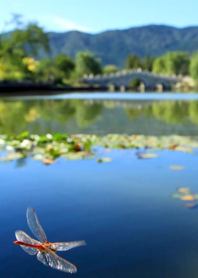 今日大暑丨迎风沐雨，憧憬未来(图5)